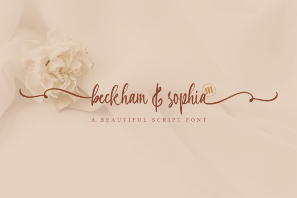 Beckham Sophia Font for Web Design
