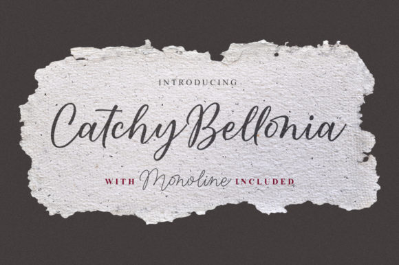 Catchy Bellonia Review