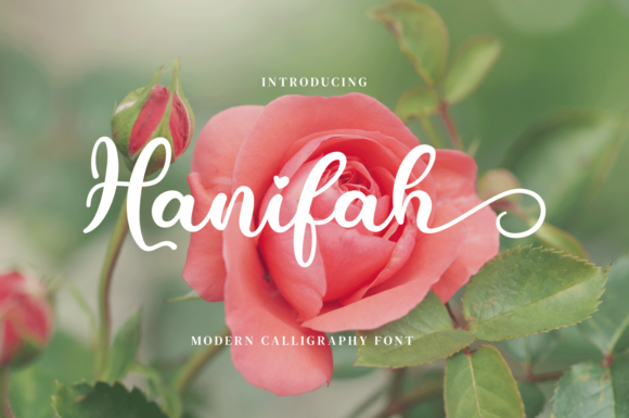 Hanifah: A Beautiful Script Font for Your Brand