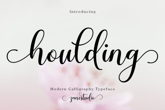 Houlding: A Graceful Script Font for Web Design