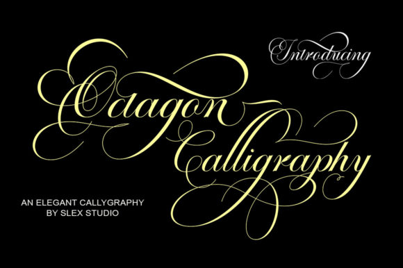 Octagon Calligraphy: A Stylish Font for Marketers