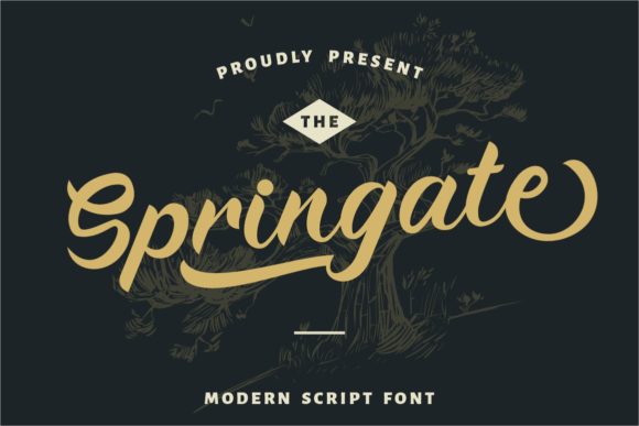 Springate: A Elegant Handwritten Font for Business